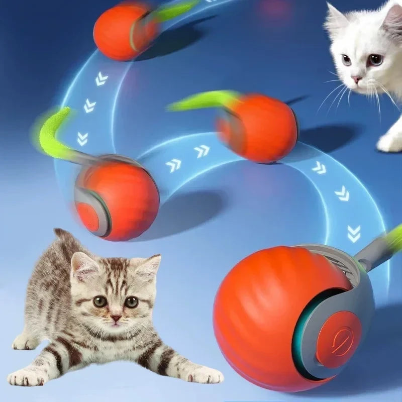 Interactive Feather Cat Ball