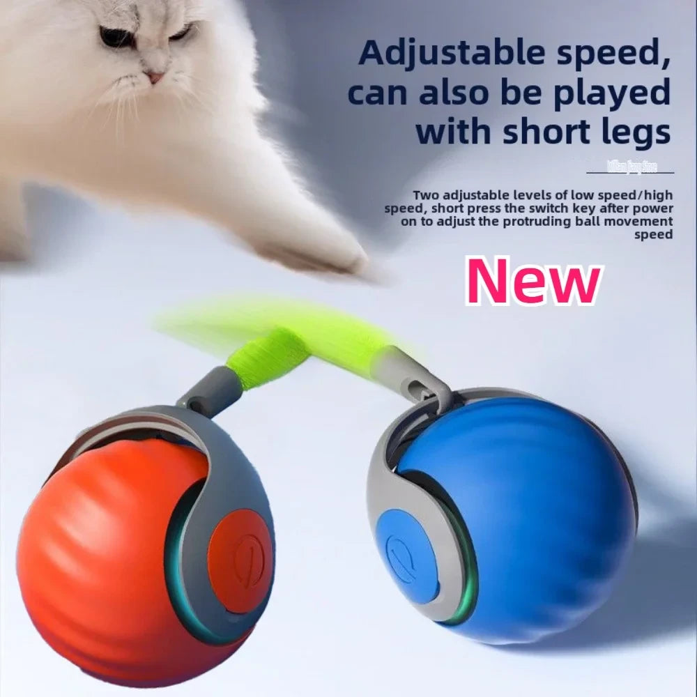 Interactive Feather Cat Ball